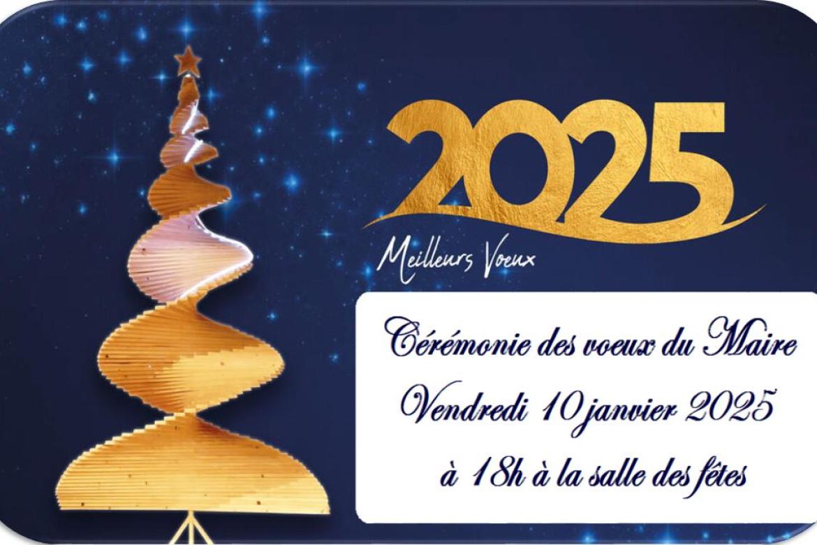 Vœux du Maire 2025